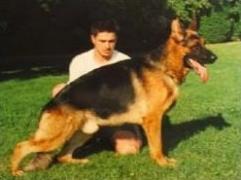 Rambo von Mons Claudius