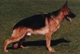 Quartz vom Thermodos